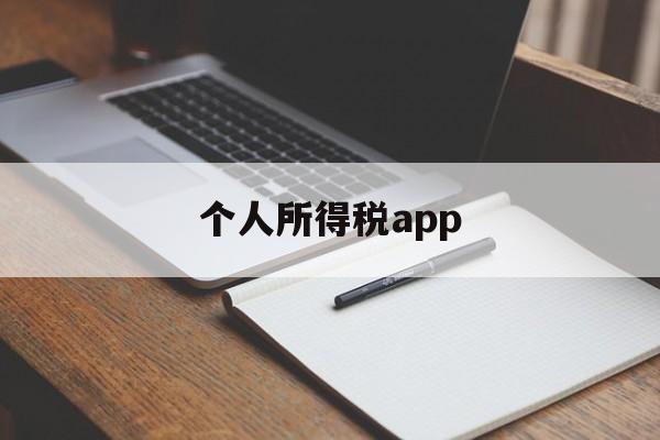 个人所得税app(个人所得税app上传证明材料)